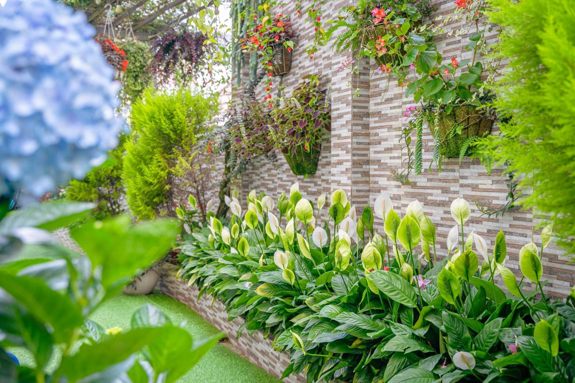 Minh Chien Hotel Da Lat Zewnętrze zdjęcie